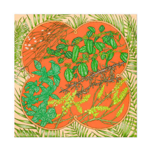 Alroda – Orange Silk Wool