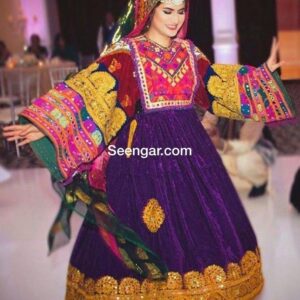 Vintage Voilet Velvet Dress