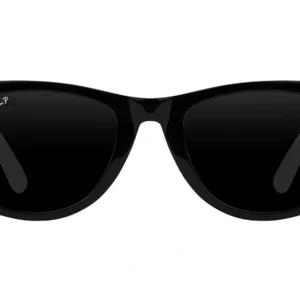 Ray Ban Wayfarer Polarized